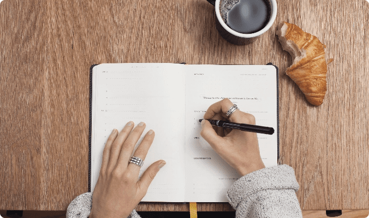 Essay help